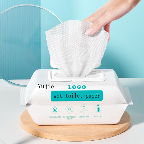 New Design Factory Wholesale Household Alcohol Free Non-woven Body Cleaning Wipes